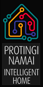 Protingi namai