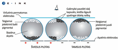 E. popieriaus veikimo principas