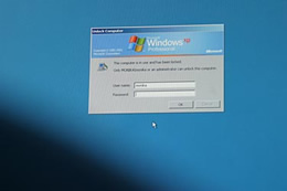 Baltijos šalių internautai ištikimi „Windows XP“