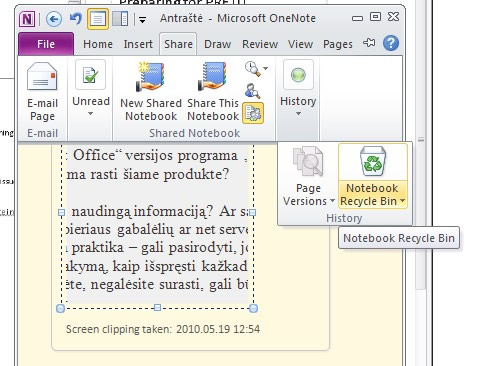 „OneNote 2010“ – pirmieji įspūdžiai