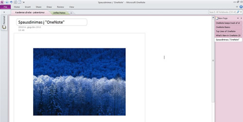 „OneNote 2010“ – pirmieji įspūdžiai