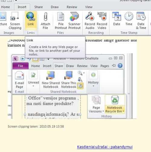 „OneNote 2010“ – pirmieji įspūdžiai