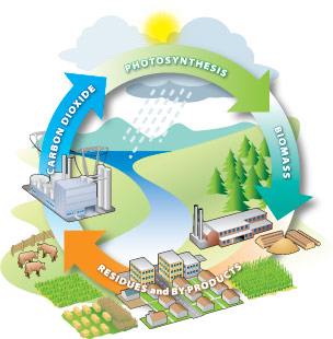 Bioenergetika – ne visiems patrauklus alternatyvus verslas