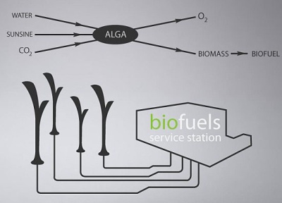 Gatvės žibintas paverčia smogą į biologinį kurą