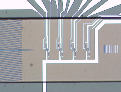 Sukurta nanomagnetų technologija vėžio ląstelėms kraujyje tirti