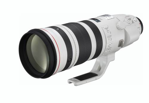 „Canon“ pristato universalų „EF 200-400mm f/4L IS USM Extender 1.4x“ teleobjektyvą