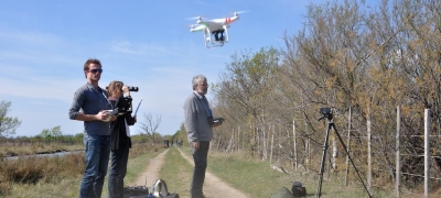 Dronai gali būti naudingi studijuojant paukščių elgesį