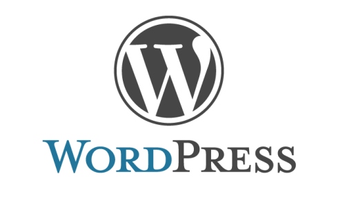 Programišiai kėsinasi į „Wordpress“ tipo svetaines