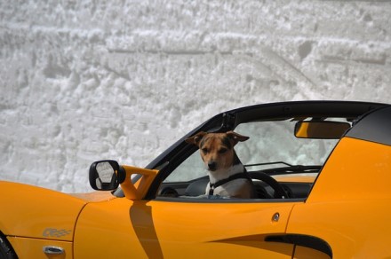 Elonas Muskas atskleidė pagrindinę priežastį, kodėl taip sunku sukurti autonominį automobilį