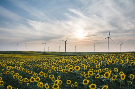 „Green Genius“ nuotr. / Vėjo elektrinė