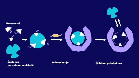 Supaprastinta molekulinio įspaudo technologijos schema. Raimondos Bogužaitės iliustracija