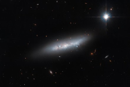 NGC 2814 – netaisyklinga galaktika / ESA / Hubble ir NASA, C. Kilpatrick nuotr.