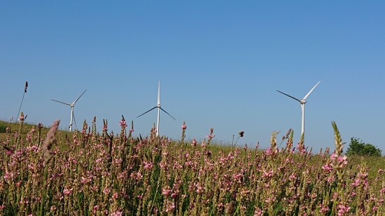 Šiemet Lietuvoje pasigaminome beveik 62 proc. suvartotos elektros energijos