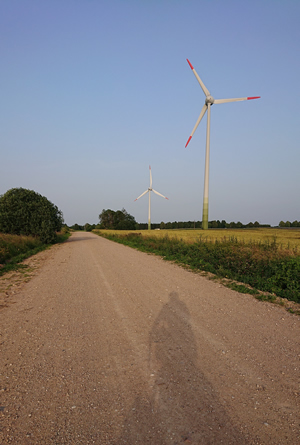 Elektros energijos, gamtinių dujų ir naftos rinkose – pigiausias lapkritis per ketverius metus